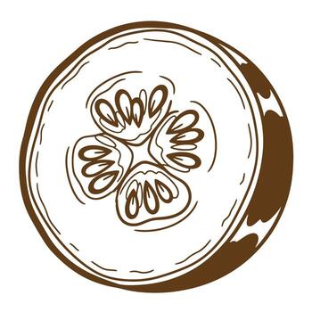 Artistic brown outline sketch of a cucumber slice depicting a simple vegetable design vector