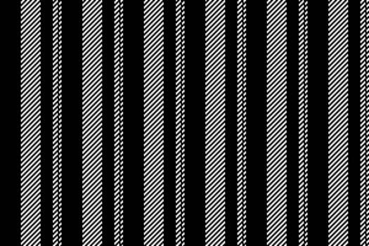 Eetro textile pattern , trendy texture vertical fabric. Sividing seamless background stripe lines in black and white colors. vector
