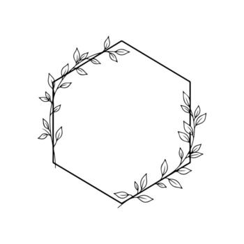 A minimalist hexagon frame with delicate leafy branches on a white background vector