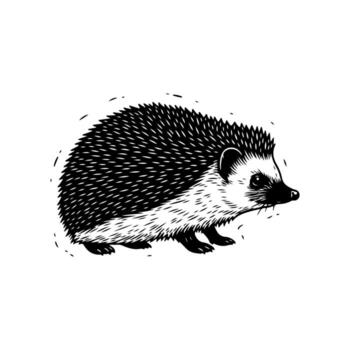 Detailed linocut style image of a hedgehog with detailed quills and features on a white background vector