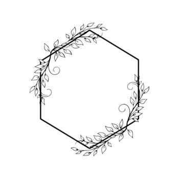 Black hexagon frame with vine-like leaves and swirls. White background, simple and elegant vector