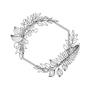 A black and white hexagonal frame, adorned with stylized botanical illustrations vector