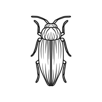 detallado línea Arte de un escarabajo con simétrico patrones valores icono en línea estilo vector