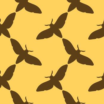 seamless pattern with moth insects vector