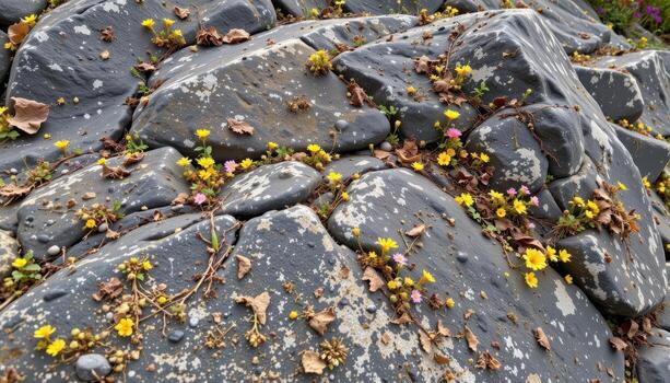 Weathered rock face dotted with tiny wildflowers and lichen. photo