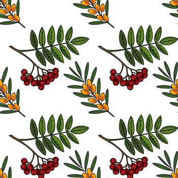 Seamless pattern featuring hand-drawn branches of red rowan berries and yellow sea buckthorn with green leaves, set against a clean white background. vector