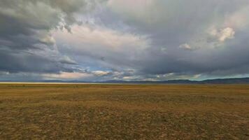 se från ett suv. körning på hastighet längs en smuts väg i de stäpp. de bergssteppe landskap med skön moln och damm på fart. skott med ett verkan kamera. se från de sida fönster. video