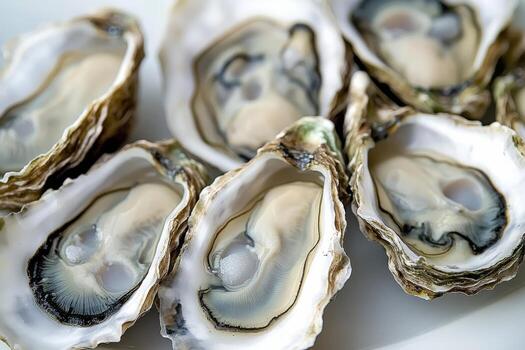 Oysters are a great source of vitamin d photo