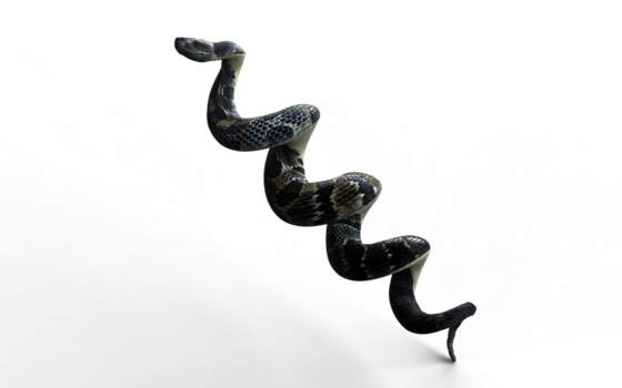 a calma antes a batida, isto cascavel bobinas com silencioso confiança. png