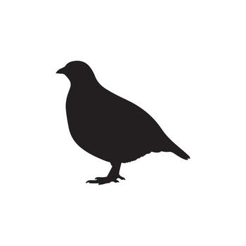 Silhouette of a quail bird, a small, plump game bird known for its distinctive call and presence in open country vector