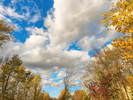 Beautiful autumn sky filled with soft clouds over golden trees, peaceful nature landscape expressing balance of light, depth, and color harmony photo