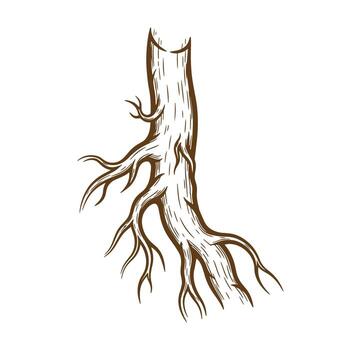 Hand-drawn sketch of a brown tree trunk and branches isolated on white background vector