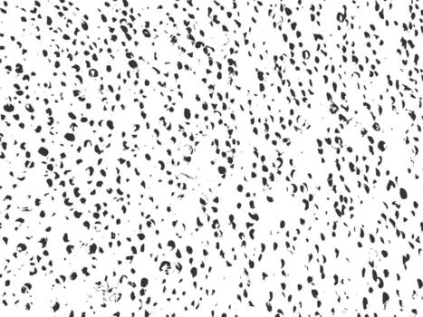 negro y blanco al azar dispersado grano textura antecedentes con grunge efecto vector