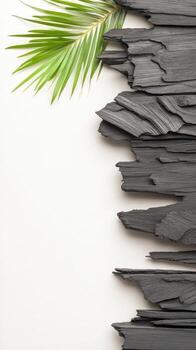 Charcoal pieces and a green leaf on a light background, representing natural elements and creative patterns. photo