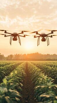 Two Drones Flying Over Green Field at Sunrise. Monitoring Crops in Farm Field. Wireless Networks Communication. photo