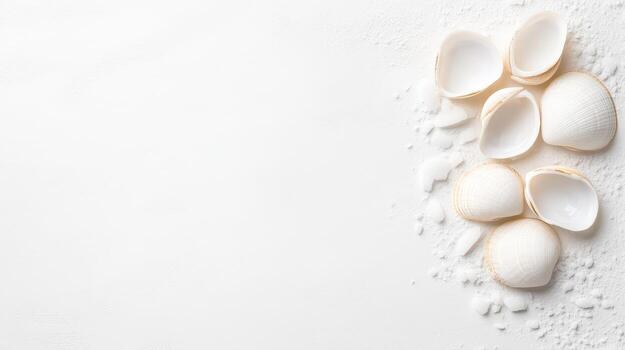 White seashells cluster lies on smooth white sand surface. Seashell pieces surround group of shells. Marine life remains isolated against plain bright background. photo