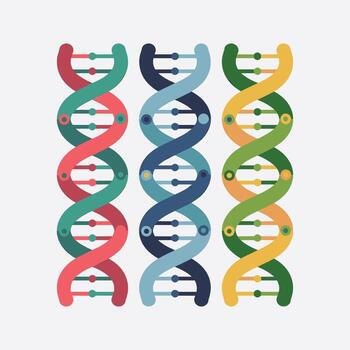 Tres vistoso resumen re norte un doble hélice hebras en rojo verde azulado azul y amarillo verde en un ligero gris antecedentes vector