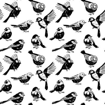 Seamless black and white outline pattern with hand-drawn small wild birds. Various birds flying and standing. Repetitive texture with sparrows and for fabric printing and monochrome backgrounds vector