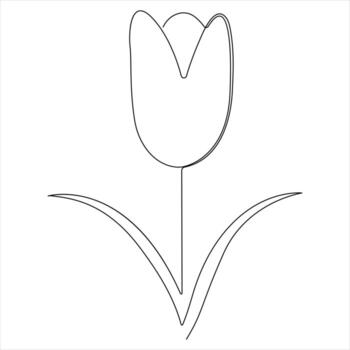 Continuous one line drawing of tulip flower simple line art vector