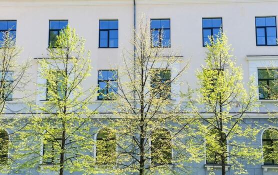 Lush green trees in front of modern building with windows and sunlight illuminating scene Front view photo