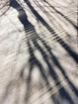 Intricate shadows cast on a textured pavement surface creating a captivating visual pattern photo