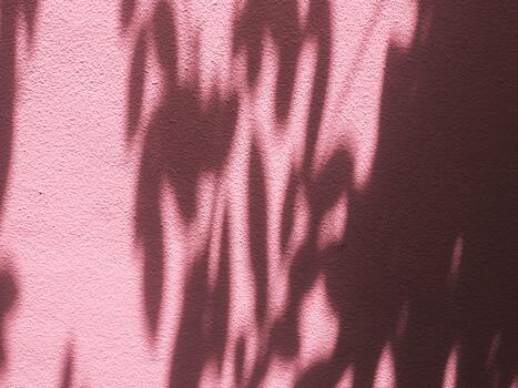 Minimal natural background with leaf shadow on cement wall at home photo