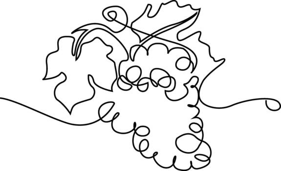 Elegant grape cluster drawing in minimalist style showcasing simplicity and sophistication vector
