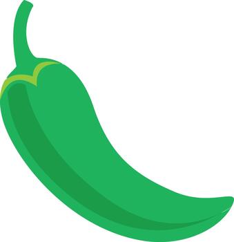 A vibrant green chili pepper, depicted with a smooth, curved shape and a pointed tip, isolated on a white background. vector