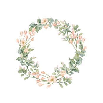 delicado floral guirnalda, marco con beige fresia, hojas de pistacho, eucalipto ilustración. pastel primavera composición en rústico estilo, modelo con vacío espacio aislado desde antecedentes para texto png