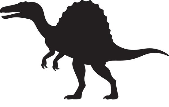 Silhouette of a spinosaurus dinosaur with a large sail on its back standing on a white background vector