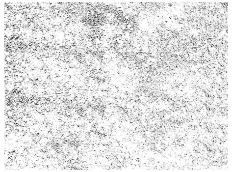 Dense grunge urban texture . Distressed overlay texture. Abstract mild textured effect. vector