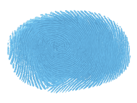 azul impressão digital padrão, biométrico identificação, segurança conceito, único pessoal identidade, digital acesso, forense análise, isolado em transparente fundo png