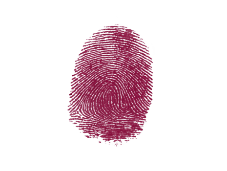 röd fingeravtryck isolerat på transparent bakgrund, som visar detaljerad virvlar och åsar, symboliserar identitet, säkerhet, och unikhet, ofta Begagnade i biometrisk autentisering och forensisk vetenskap png