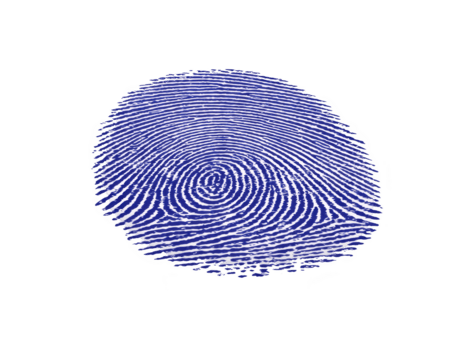 blå fingeravtryck isolerat på transparent bakgrund, som visar detaljerad virvlar och åsar, symboliserar identitet, säkerhet, och biometrisk autentisering i modern digital sammanhang png