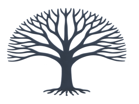 spoglio albero silhouette con diffusione rami e visibile radici, isolato su trasparente sfondo, simboleggiante natura, crescita, e vita ciclo, adatto per design o educativo uso png