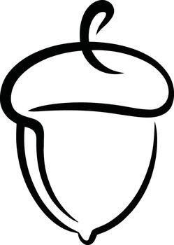 Abstract outline of an acorn with a stem tree nature vector