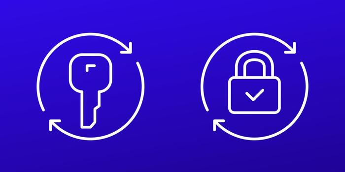 cambio llave, contraseña línea iconos, línea diseño vector