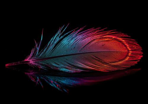 Abstract macro photograph of a glowing iridescent feather reflecting neon colors. photo
