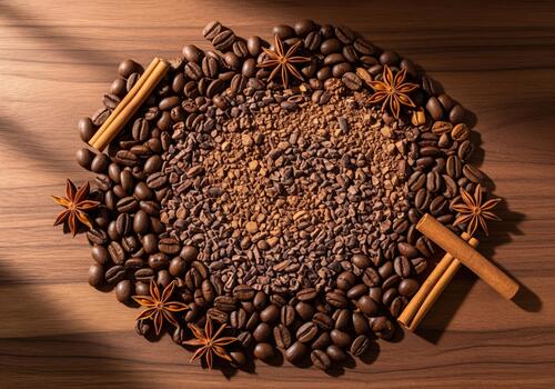 Roasted coffee beans, crushed cacao nibs, cinnamon, and star anise arrangement photo