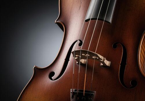 Richly textured wooden body of a classical cello with bridge, f holes, and strings photo