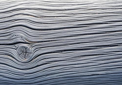 detallado textura de Envejecido, blanqueado madera flotante con prominente nudo y horizontal grano patrones. foto