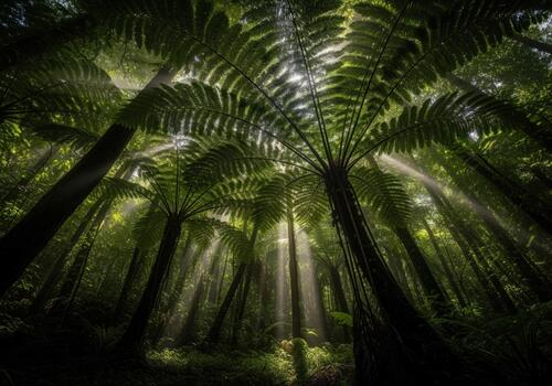 Dramatic sun rays piercing through the lush canopy of giant tree ferns in a dark jungle photo