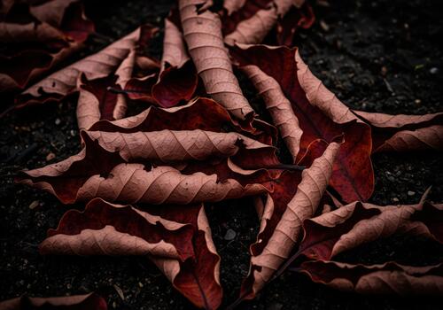 oscuro y temperamental cerca arriba de seco rizado otoño hojas dispersado en húmedo suelo textura foto