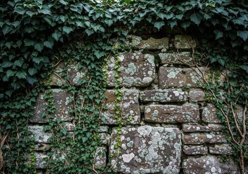 detallado ver de un antiguo resistido Roca pared cubierto en oscuro verde hiedra y liquen textura. foto