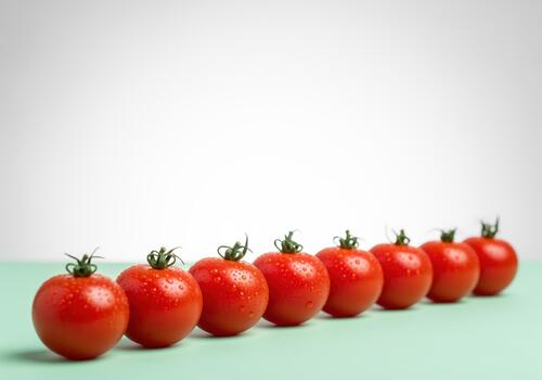 Pristine line of bright red cherry tomatoes glistening with water droplets on a light green surface photo