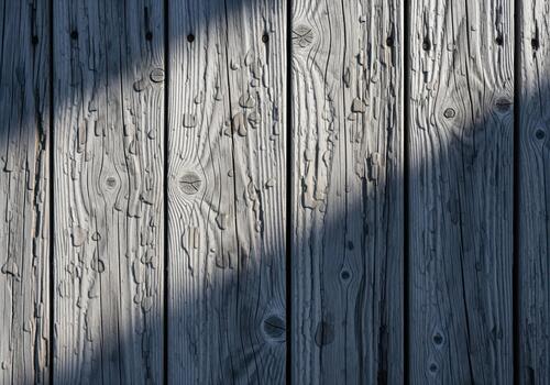 Cool toned overhead view of weathered silvery grey wooden planks texture background. photo