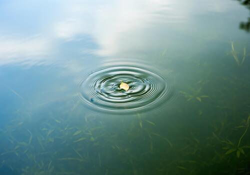 Serene water surface with concentric ripples caused by a small floating leaf photo