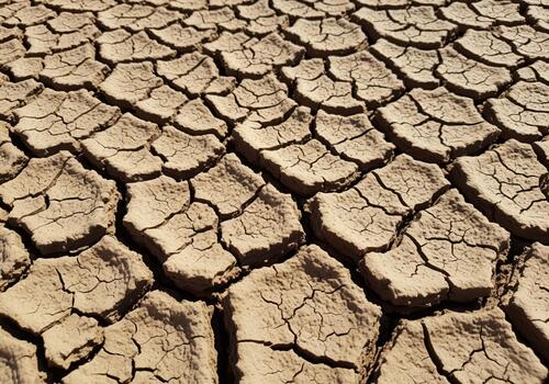 Severe drought causes cracked dry earth texture pattern symbolizing climate change. photo