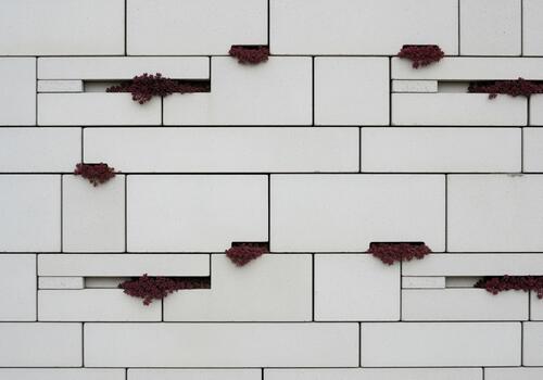 Concrete block wall with plants growing in gaps for modern architecture photo