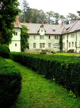 Hedge of trimmed into a square shape of bushes in the direction of the building Shenborn Palace photo
